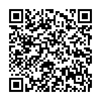 QR Code – Free Security Assessment
